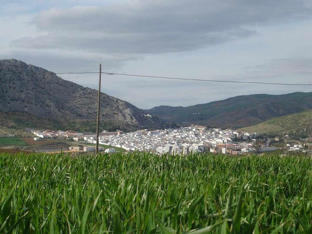 Mirador De La Encina Villa Valle de Abdalagís Eksteriør bilde